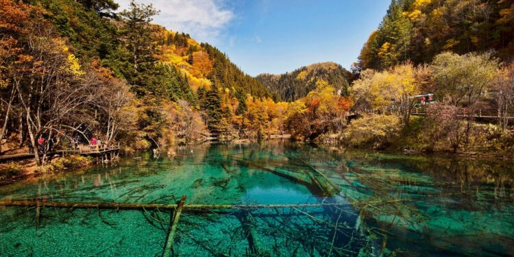 Destinos qué visitar en el Día Mundial de la Vida Silvestre