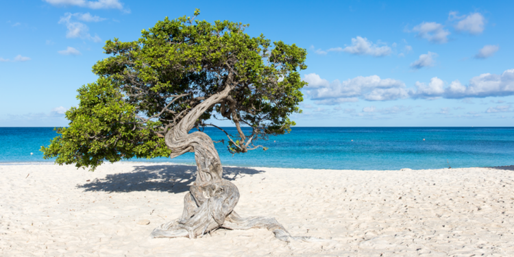 Eagle Beach, la mejor playa según Tripadvisor