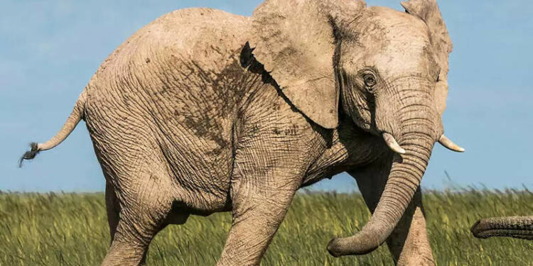 MicrosoftTeams image (63)