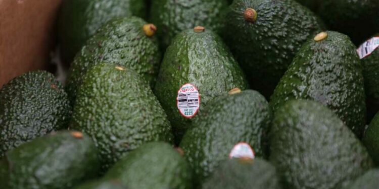 Estos son los 5 negocios más rentables en Michoacán