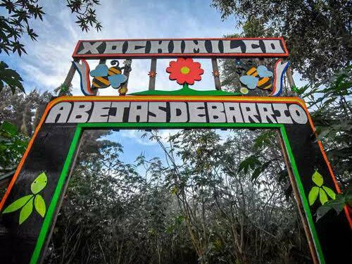 Explora Xochimilco: Un tesoro turístico en la Ciudad de México