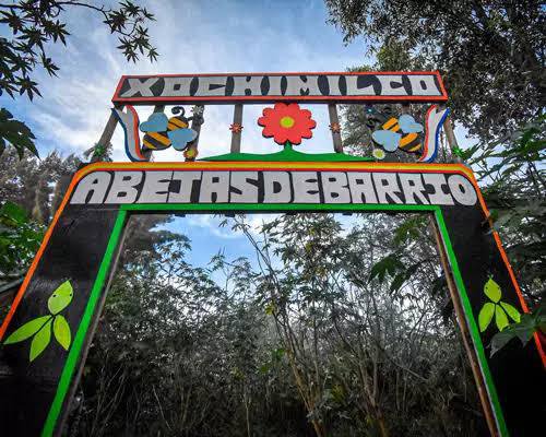 Explora Xochimilco: Un tesoro turístico en la Ciudad de México