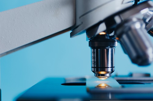 Cuidado con tratamientos de células madre sin evidencia