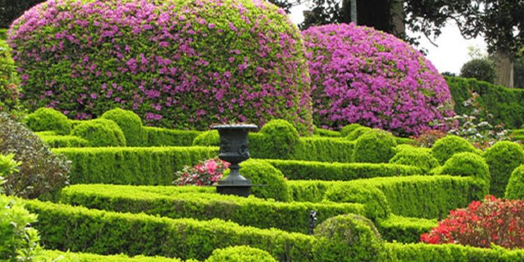 La Ruta de las Camelias en Flor abre temporada de los Trenes Turísticos de Galicia