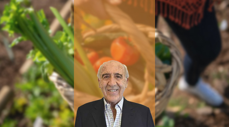 La historia de la cocina española. Delicioso.