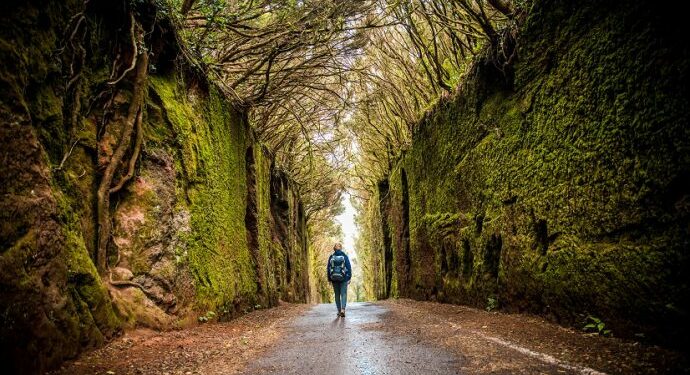 Las diez experiencias imprescindibles durante un viaje a Tenerife
