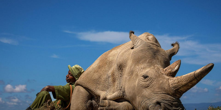 Mejor Fotógrafo de Viajes del año: 22 imágenes inspiradoras