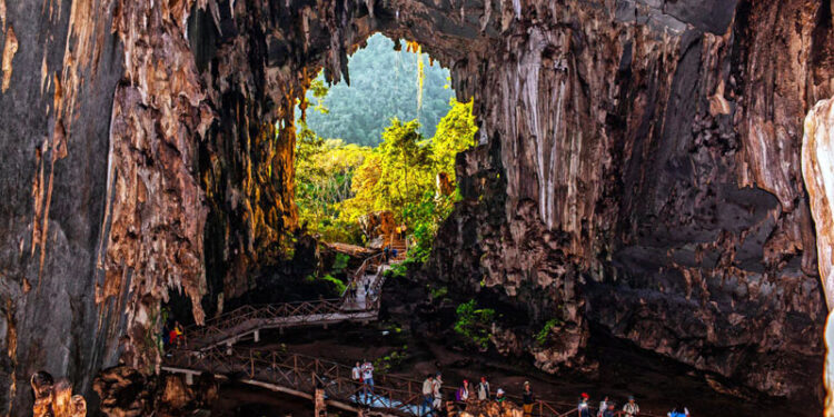 Parque Nacional Tingo María gana segundo lugar Green Destinations Story Award - Technocio
