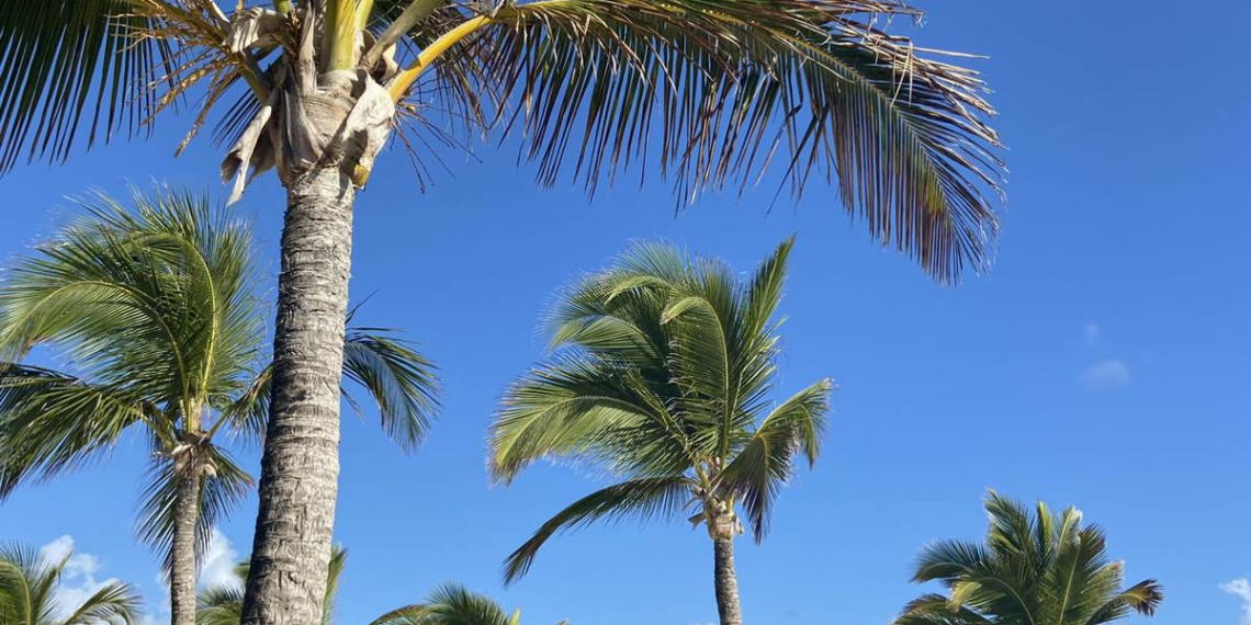 Punta Cana, una de las mejores playas del mundo