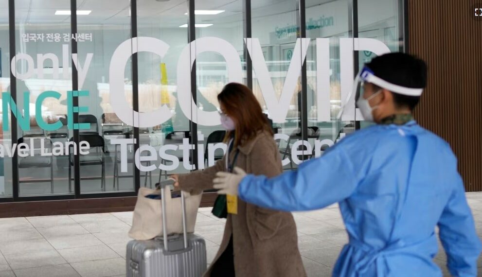 Retoma industria de cruceros operaciones previas al coronavirus - ADN