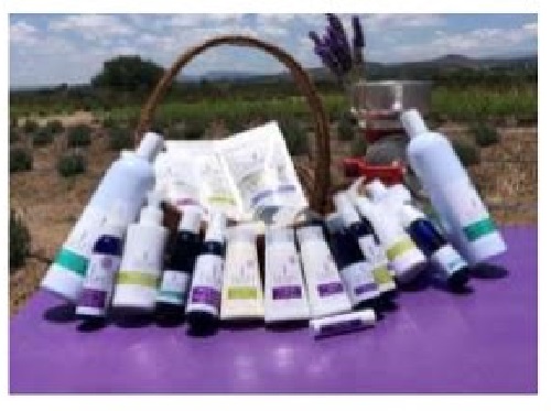 Lavyn lleva nuevos productos wellness a Tequisquiapan, con aroma a lavanda