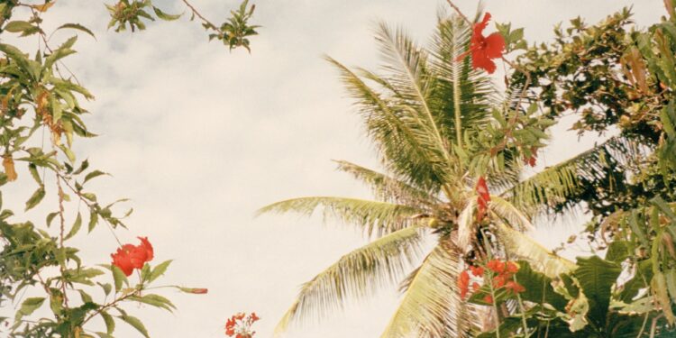 Todo florece: ya está aquí el número de primavera de Condé Nast Traveler