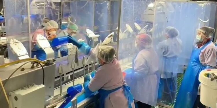 Tyson Foods cerrará dos plantas de pollos y despedirá cerca de 1,700 trabajadores