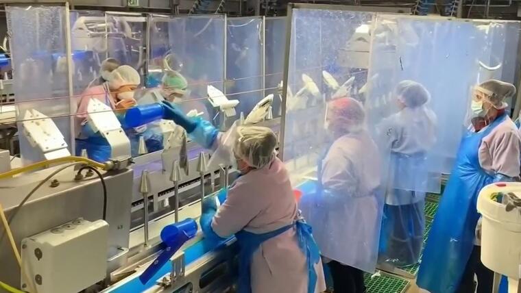 Tyson Foods cerrará dos plantas de pollos y despedirá cerca de 1,700 trabajadores