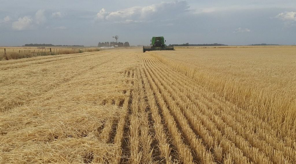 Veinte firmas agroindustriales se lucran con la crisis alimentaria global, y 13 están en México