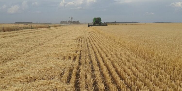 Veinte firmas agroindustriales se lucran con la crisis alimentaria global, y 13 están en México