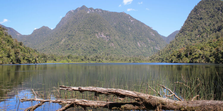 Viajero Casual: las 25 mejores cabañas con tinajas