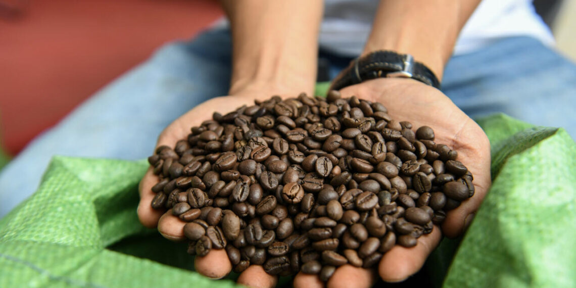 Vietnam quiere promover su café robusta en un mundo cada vez más caliente