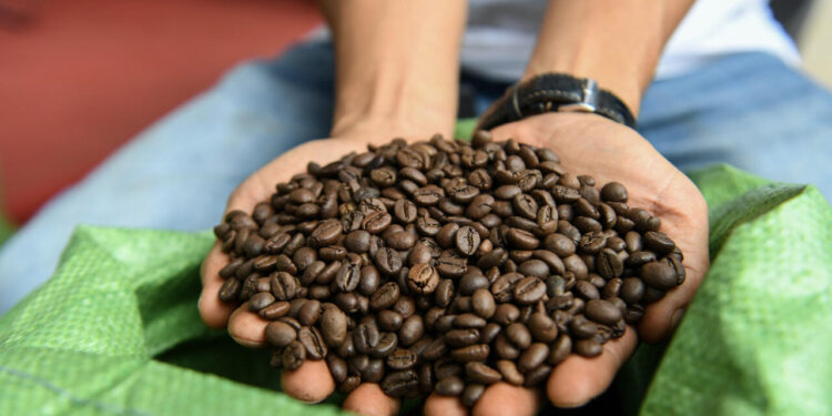 Vietnam quiere promover su café robusta en un mundo cada vez más caliente