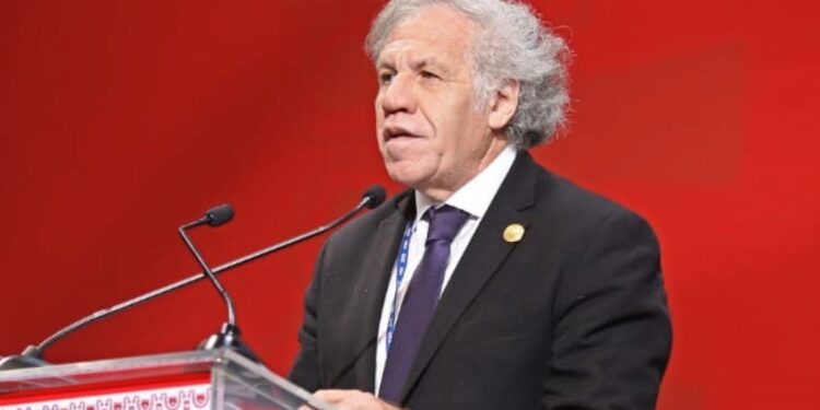 secretario general Luis Almagro investigado por relación con empleada – Telemundo 52