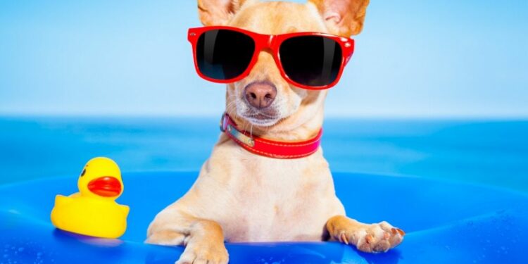 ¿Puede la Inteligencia Artificial organizarnos el viaje ideal?