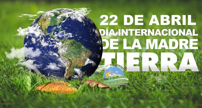 Día Internacional de la Tierra: todo lo que se debes saber BamBoo! Lifestyle