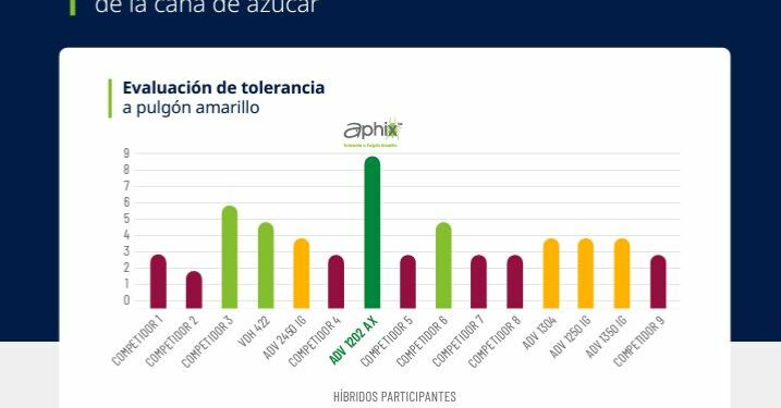 Advanta vence al pulgón amarillo, BASF invierte euros en Santo Tomé, Swift recluta profesionales » Bichos de Campo