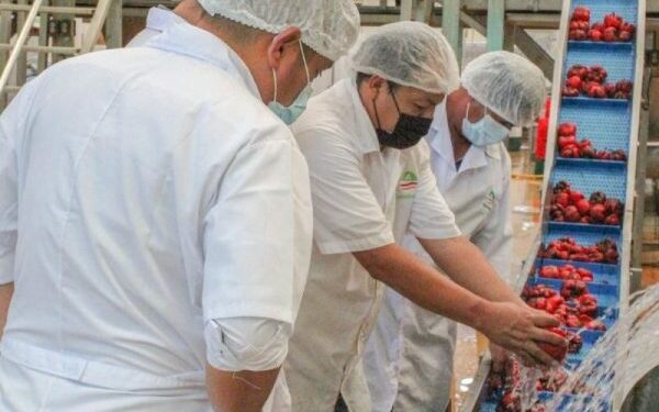 Agrícola San Clemente adquirirá un porcentaje importante de las acciones de Gandules – Simfruit