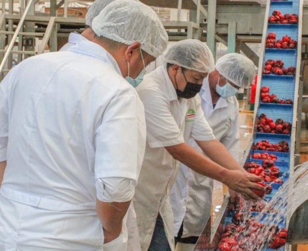Agrícola San Clemente adquirirá un porcentaje importante de las acciones de Gandules – Simfruit