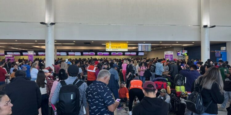 Amav pide comprar boletos de avión con agencias de viajes