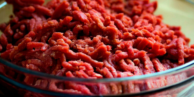 Especialistas del CONICET desarrollan un cultivo bioprotector para combatir la contaminación de E. coli enterohemorrágica en la carne