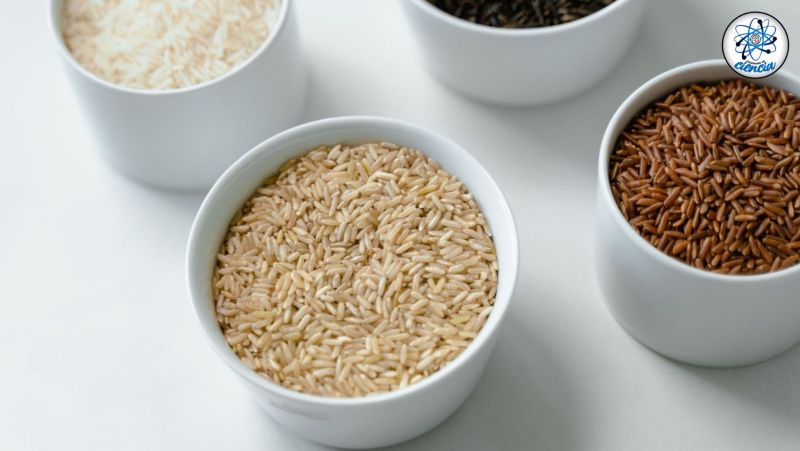 Estas son las marcas de arroz que SÍ vale la pena comprar, según la PROFECO – Enséñame de Ciencia