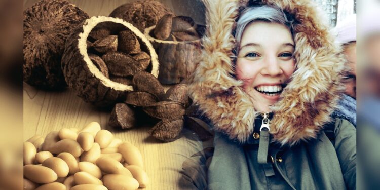 Finlandeses importaron más de US$ 1 millón en nuez amazónica peruana solo entre enero y febrero | ADEX | Economía