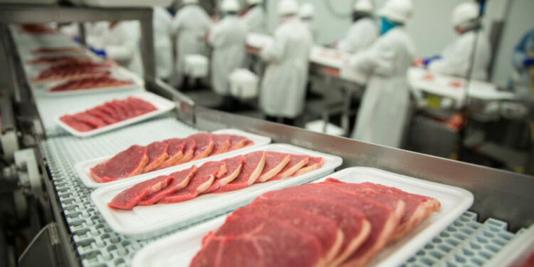 Pork packaged in meat factory