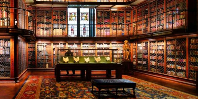 shutterstock 2063121044