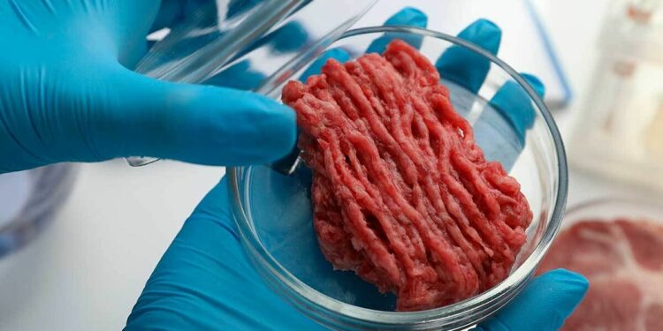 La carne cultivada, ¿será competitiva?