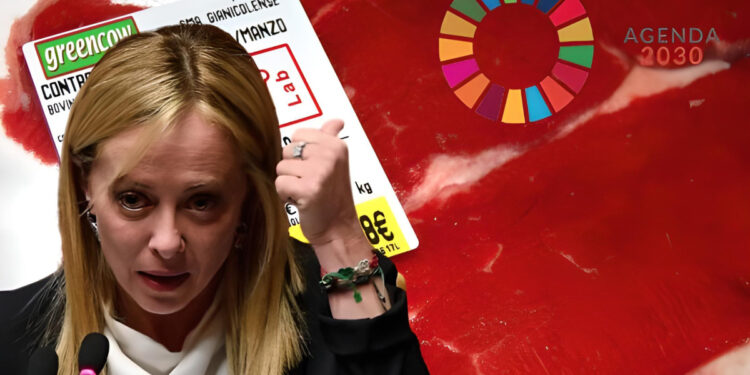 Meloni da la espalda a la Agenda 2030 y prohíbe la venta y producción de carne sintética