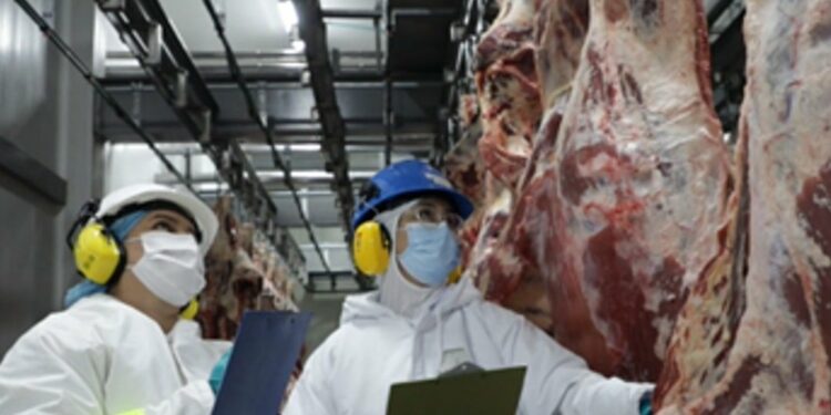 Minerva Foods recibió la calificación AA+ de calidad para su planta de Ciénaga de Oro