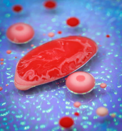 No se puede estar a favor de los ganaderos y fomentar la carne in vitro (EHNE)