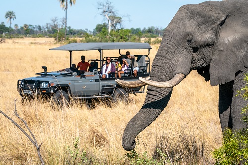 Disfruta de la mejor experiencia de safari en familia con Wilderness Bush Buddy