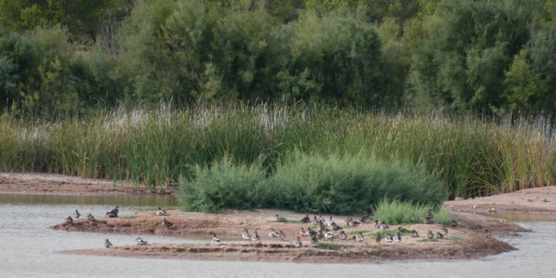 Un millón de euros para el Plan de Sostenibilidad Turística calagurritano
