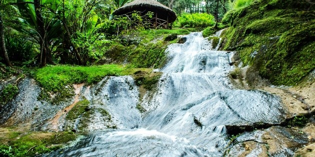 Viajes 2023: Ecoturismo en los bosques y montañas de Jalisco