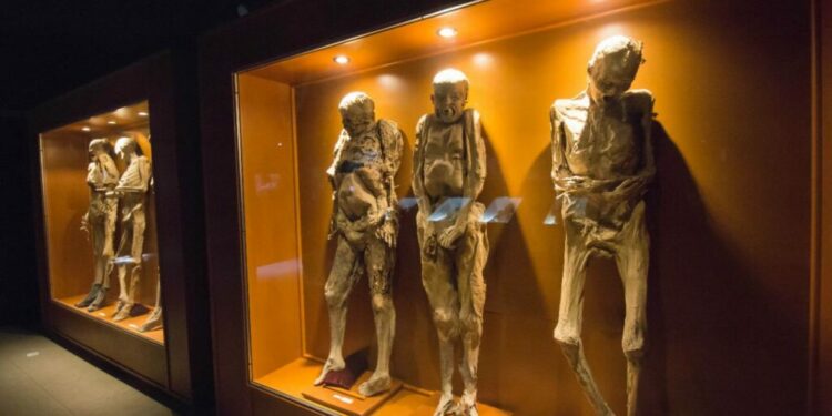 Viajes de las momias de Guanajuato han causado daños en los cuerpos: INAH
