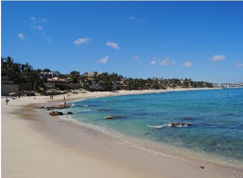 Los Cabos, un destino comprometido con el cuidado de la biodiversidad: Día Mundial de la Tierra