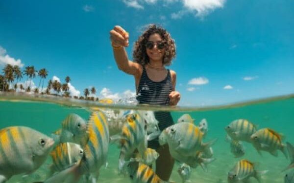 ¿Cómo planear un viaje más económico?