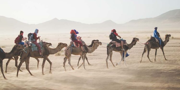 Agenttravel.es - Noticias para el profesional del turismo