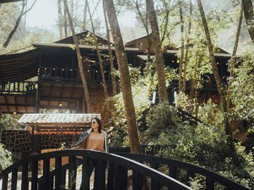 Llega la temporada de luciérnagas a Cabañas Tejería en Veracruz