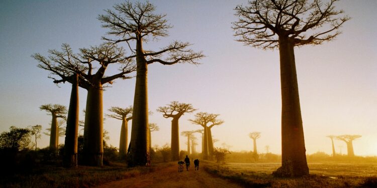 3 lugares en África que debería visitar alguna vez en su vida