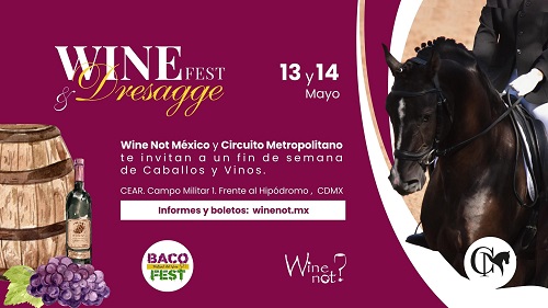 Disfruta de un fin de semana TOP en Wine Fest & Dressage, el festival que combina vino y caballos