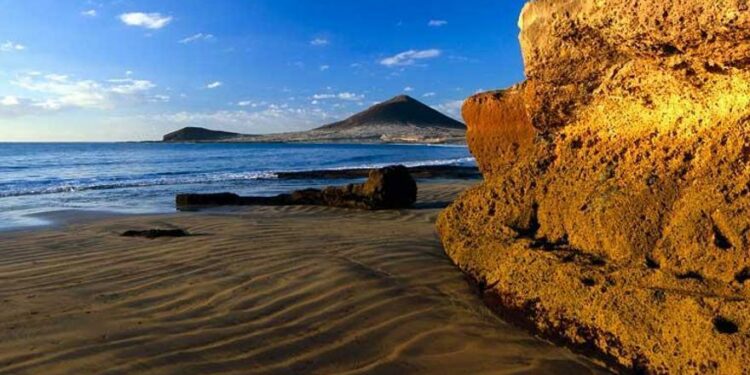 Canarias se promociona ante agentes de viaje y turoperadores de EEUU y Canadá